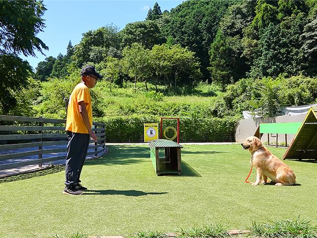 マテ