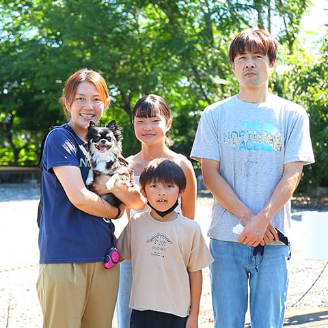 チワワ