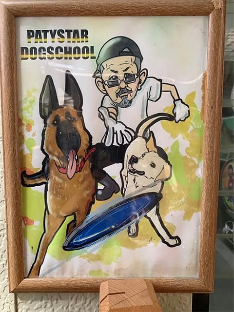 イラスト写真