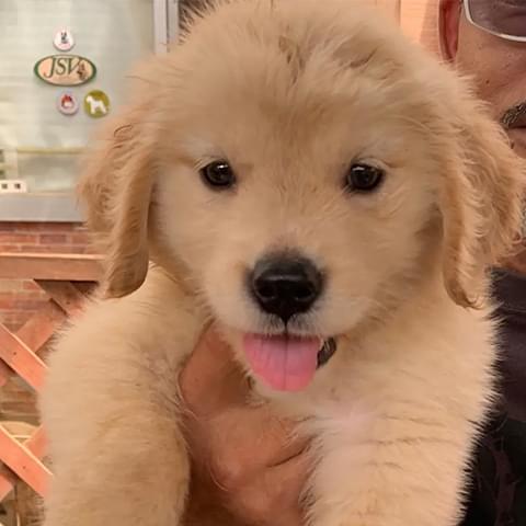 にこちゃん